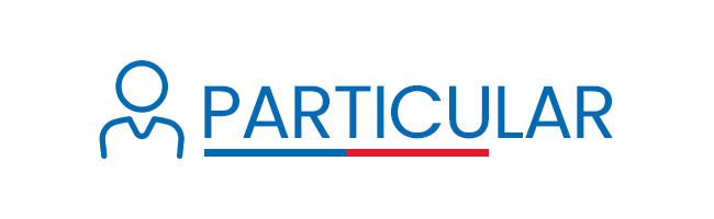 Consultas Particulares